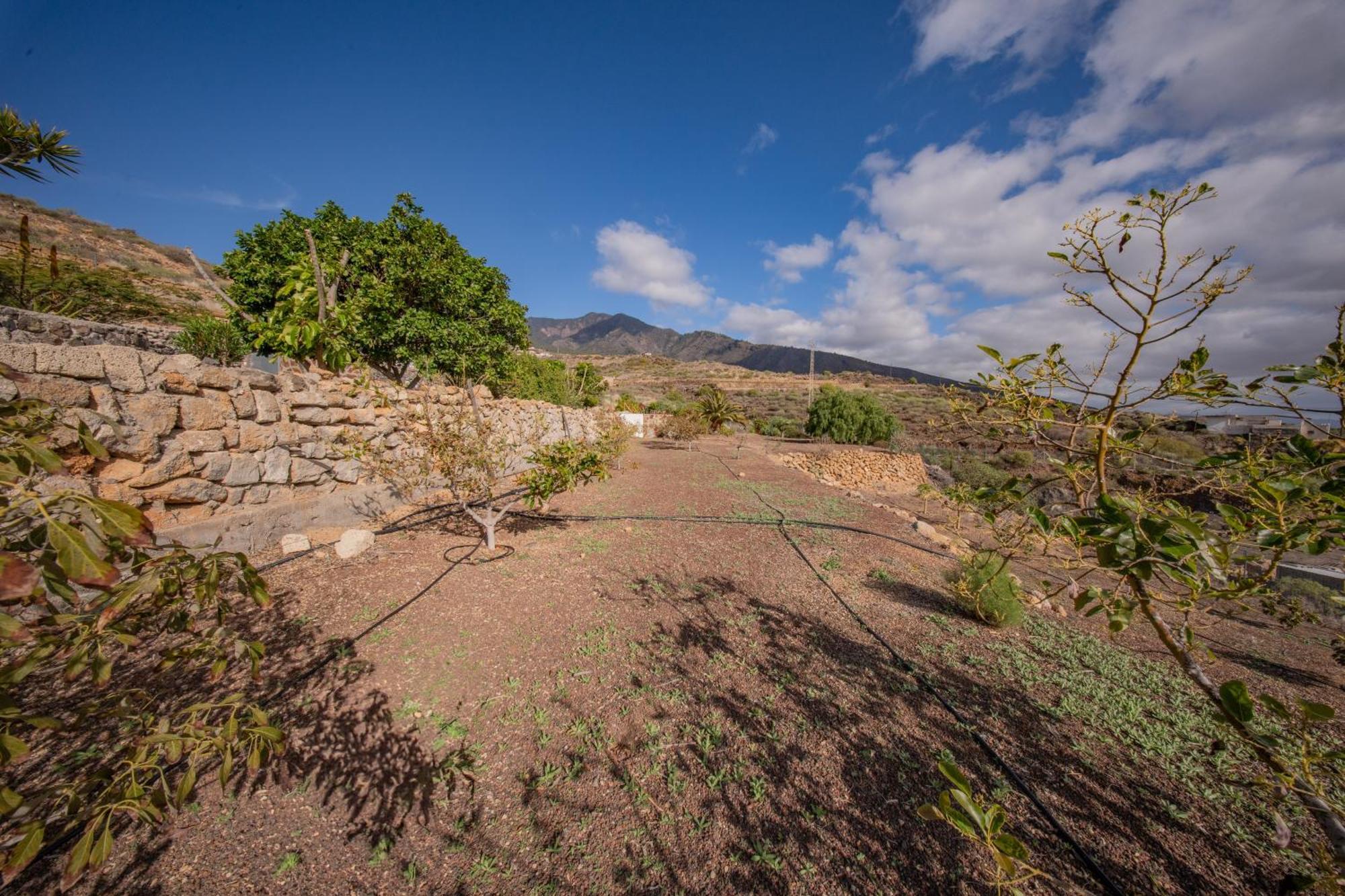 Espectacular finca rural con cueva! Santa Cruz de Tenerife Exterior foto